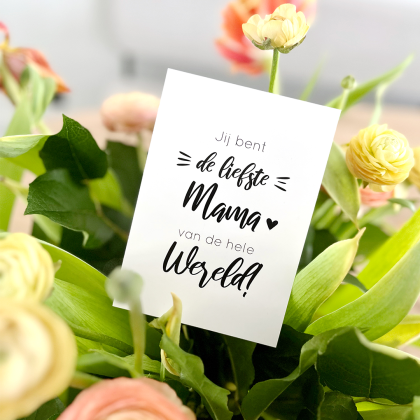 Minikaart | Jij bent de liefste mama van de hele wereld